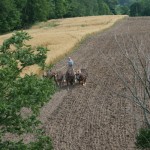 Jolianne discing with 4 abreast