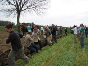 CRAFT DAY AT THE FARM -- APPRENTICES PULLING THE PLOW