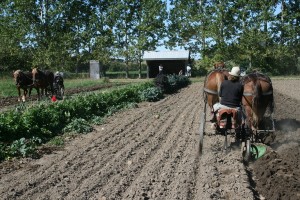 Learning to Plough