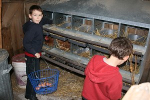 Theo and Evan Collecting Eggs