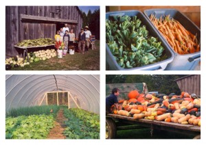 Our Bountiful CSA Our Bountiful CSA