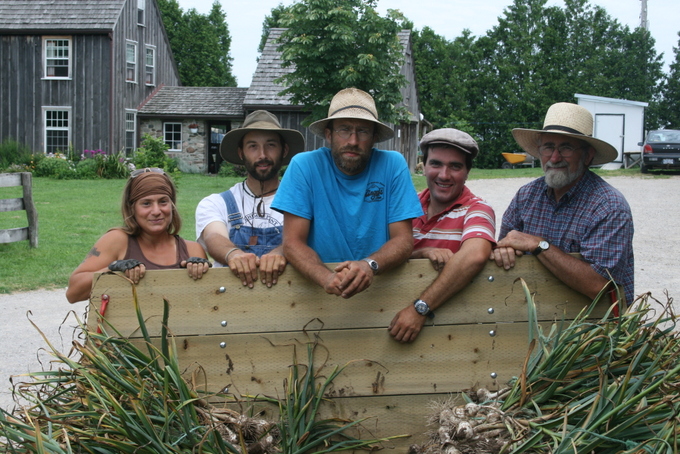 Garlic Harvesters, Stephanie, Sam, Bill Jean Francois, Ken