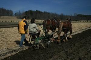 Charlotte Ploughing with Grayden Supervising 