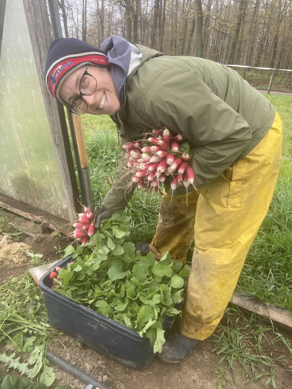 Blog Orchard Hill Farm